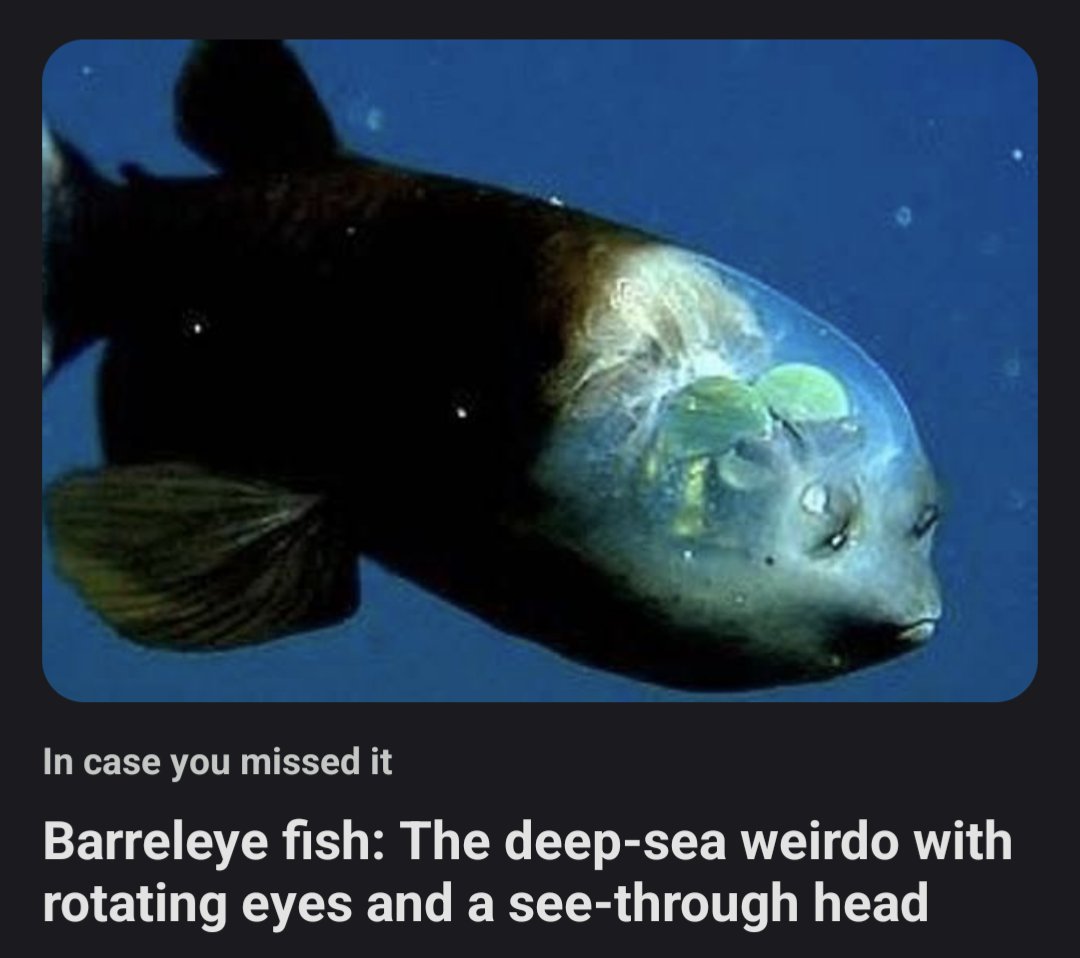 livescience.com/animals/fish/b…