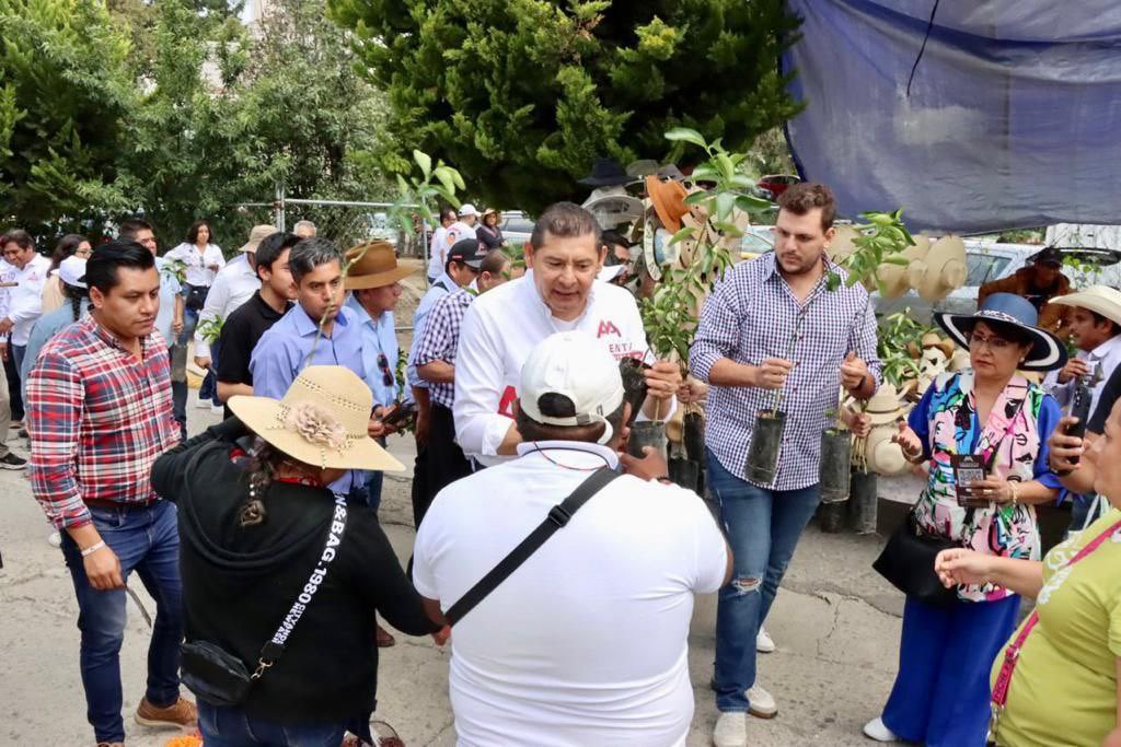 armentapuebla_'s tweet photo. Continuamos caminando en #Puebla con nuestras jornadas de reforestación #SembremosEsperanza.

Entregamos en #Calpan 900 árboles de limón y 800 nogales, árbol que representa a #Puebla con los deliciosos #ChilesEnNogada.

¡Sigamos caminando en #Unidad! https://t.co/THd47BtV4O