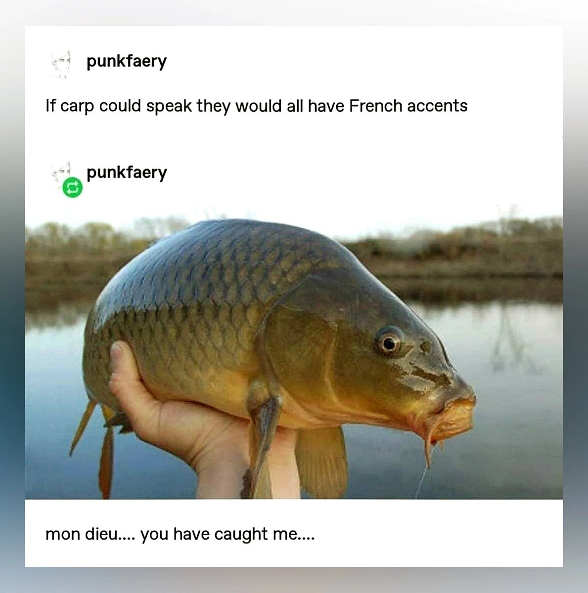 ShitpostGateway (@shitpostgate) on Twitter photo 