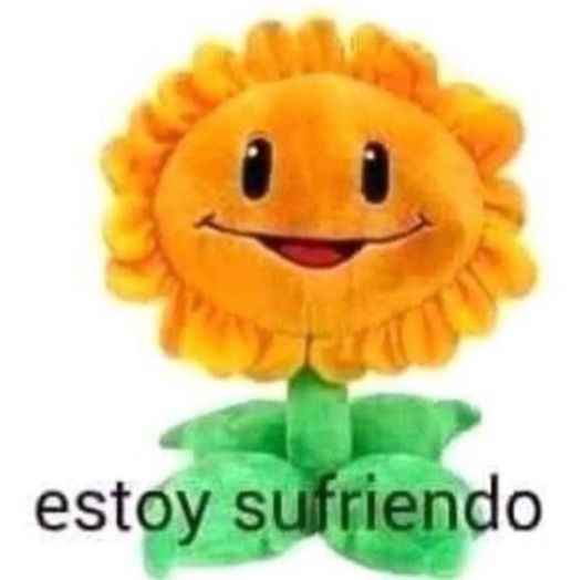 Esquizoide1927's tweet photo. @Suwie_ https://t.co/kZFbwXpmkO