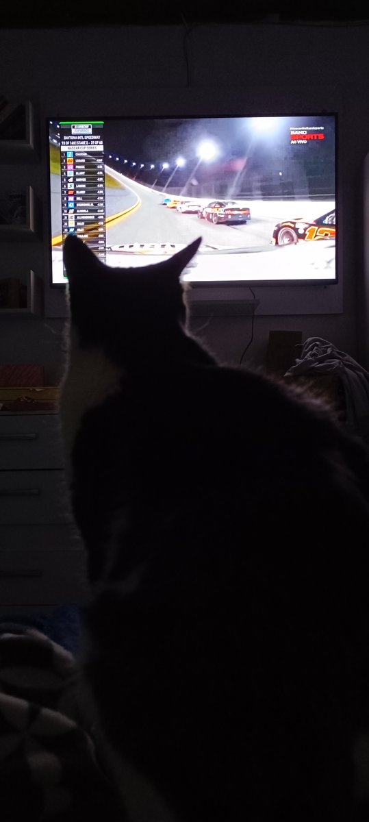 PeTroliAle's tweet photo. @slagospeed #NascarNoBandsports Mimi ligadão na Nascar . #Gogo23 https://t.co/TfkRS5Ws0B