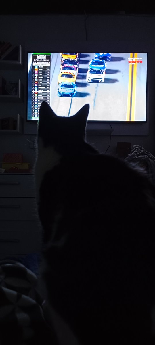 PeTroliAle's tweet photo. @slagospeed #NascarNoBandsports Mimi ligadão na Nascar . #Gogo23 https://t.co/TfkRS5Ws0B