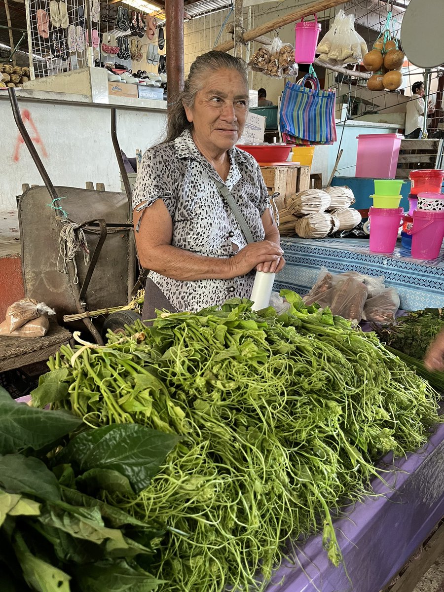 chefbossuet's tweet image. #puntas de #chayote #mercado #sanvicenteferrer #copainala #chiapas #pueblomagico #chiapasfood #cocinazoque