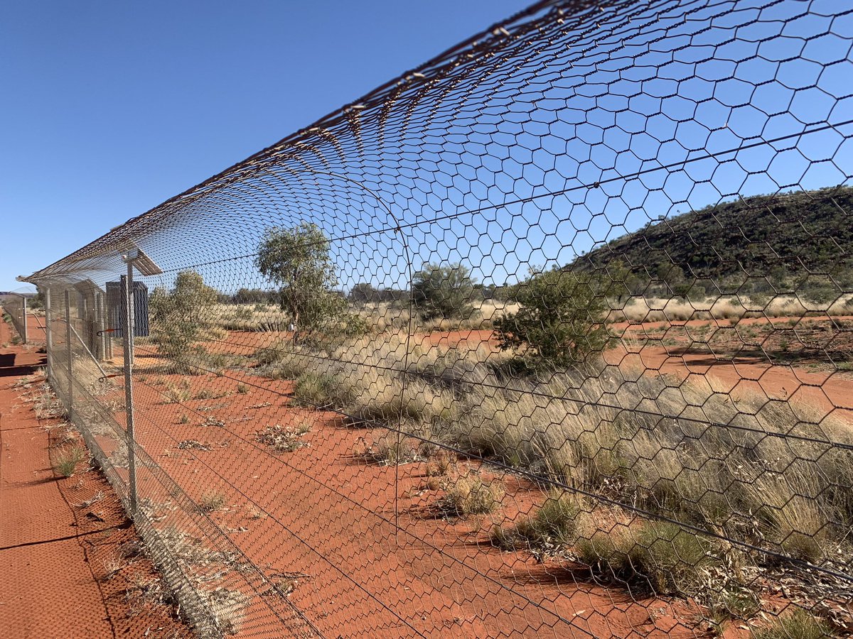 Pat Hodgens tweet media