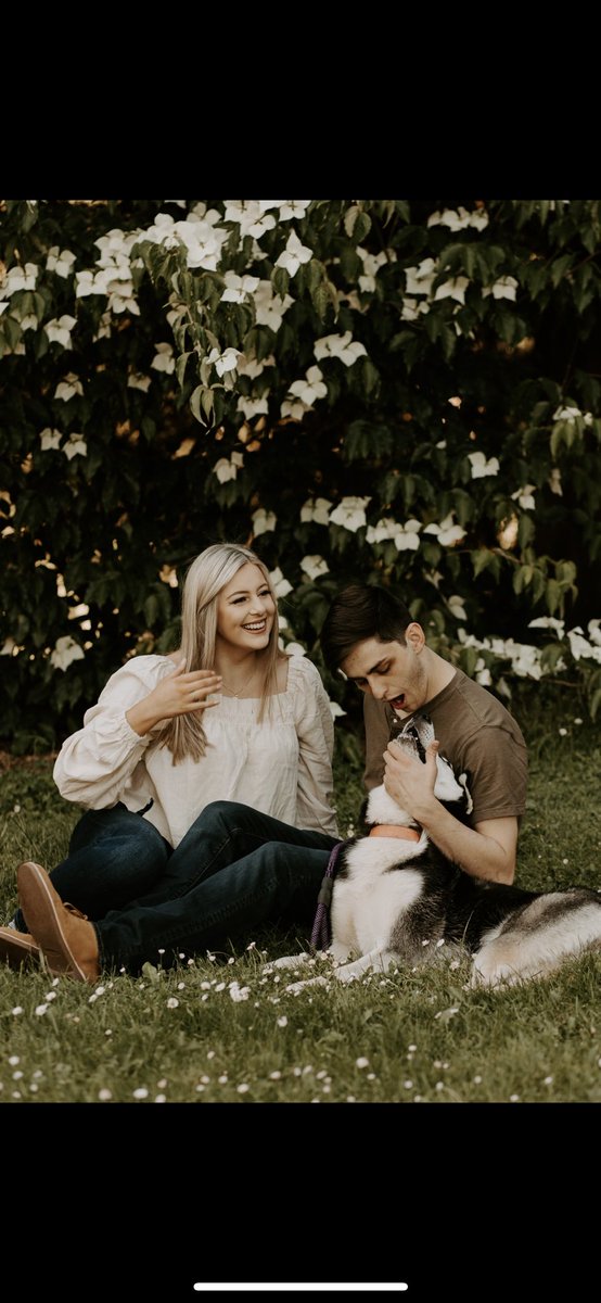 JakeViales's tweet photo. Happy international dog day to this incredibly sweet, Siberian, psychopath, that is our Husky, Nova. https://t.co/MMcX0stiKZ