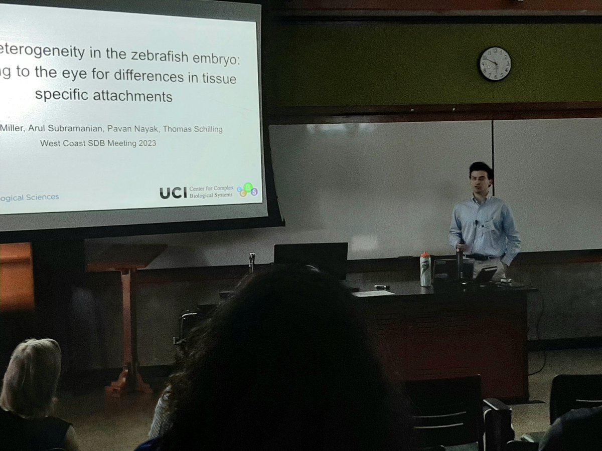 clawedfeet's tweet photo. Cameron Miller describing tendon heterogeneity the zebrafish embryo at #WCSDB https://t.co/Az5vo6sh4Z