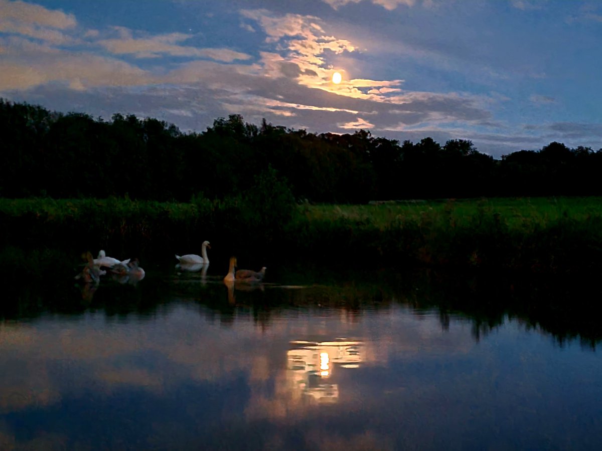 Wow!
Love this pic 😍
🌙  🦢🦢
#CoventryCanal #boatsthattweet