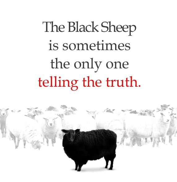 I, as someone who is still N95 masking, am comfortable & ok with being called a 'sheep'.
I've always been the black sheep in the flock, never bowed to peer pressure, never will.
Black Sheep Rule! 
#CovidIsAirborne #Covidisnotover #covidconscious #N95MasksWork