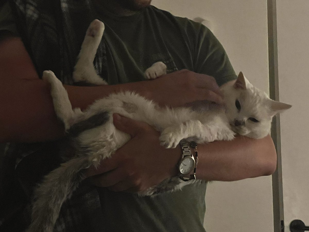 taquin (@taquin) on Twitter photo 