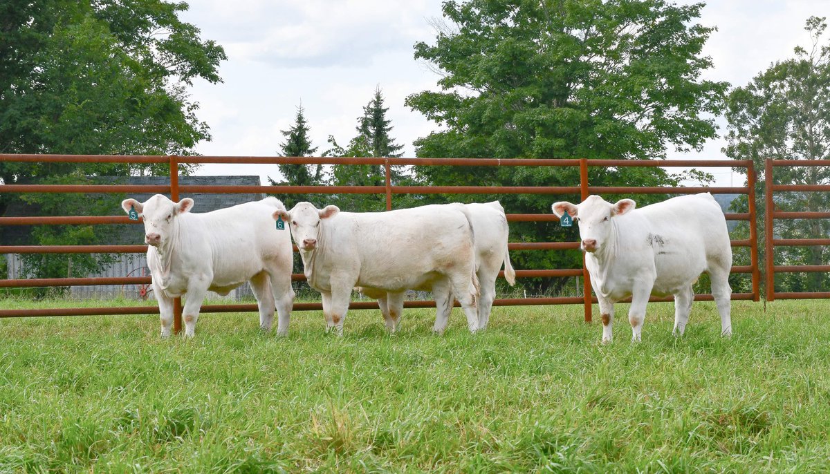 Robert Cooper tweet media