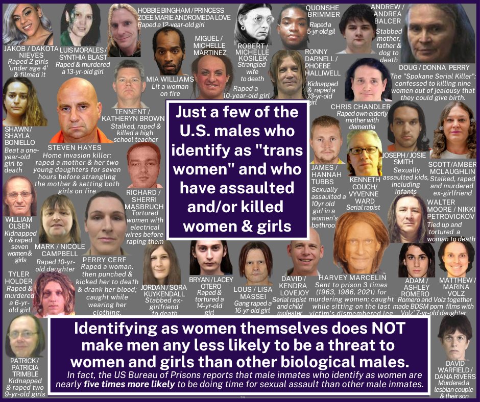 johncitysq's tweet photo. Protect Women from Predators:

#TransWomenAreConMen #TransRightsAreHumanRights #Transformers #TransWomenAreConMen #twam #womanface #adulthumanfemale #LeaveTheKidsAlone #SaveWomensSports https://t.co/9IFbQ5gmPl