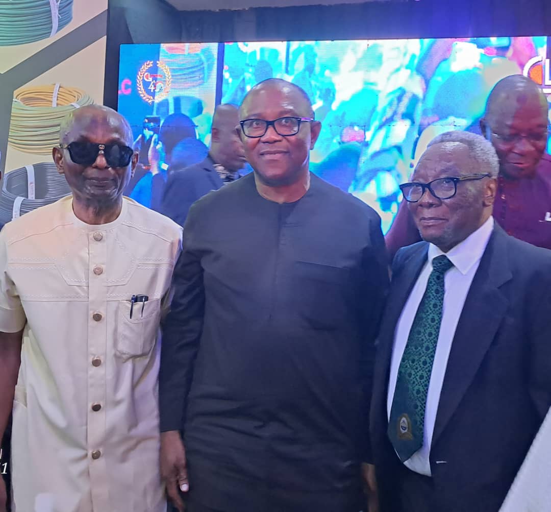 Peter Obi tweet media