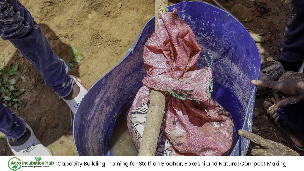 agro_incubation's tweet photo. The aim of this #ToT is to equip the team with the skills to prepare them to effectively train smallholder farmers on how to adopt these methods thereby reduce community wastes and equally minimize the reliance on #chemical #fertilizers which eventually #mitigates #GHG emissions. https://t.co/IUii4Z4Jpr