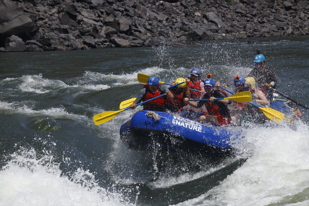 Water By Nature tweet media