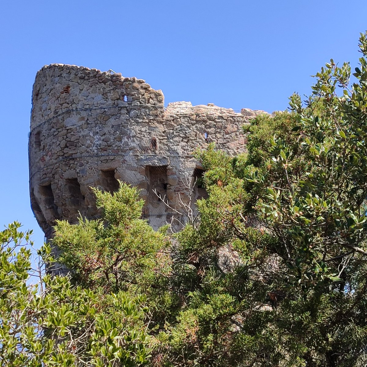 SamSam19904's tweet photo. Les palettes si riches des couleurs naturelles  , le détail de chaque pierres, le soleil ... #Corse 📸 #RedmiNote12pro @XiaomiFrance @Xiaomi https://t.co/o5uoTnx8dr