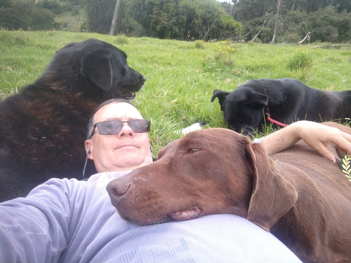 patrulleroefra's tweet photo. Nada más relajante que un momento armonioso con mis perros!!! https://t.co/4HS739WrTG