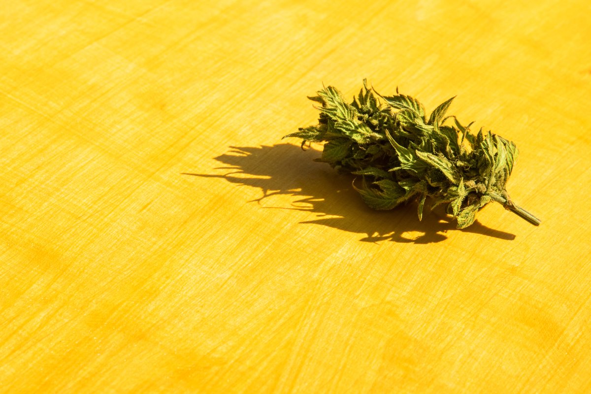 nootropic_blend's tweet image. #CBDResearch #TherapeuticDiscoveries #CBDInsights #HealthDiscoveries #NaturalRemedies

Unlocking the latest in CBD&apos;s therapeutic potential in 2023! Discover the science behind its diverse benefits, from pain management to mental wellness. 🌱💡

nootropicblend.com/cbd-benefits/