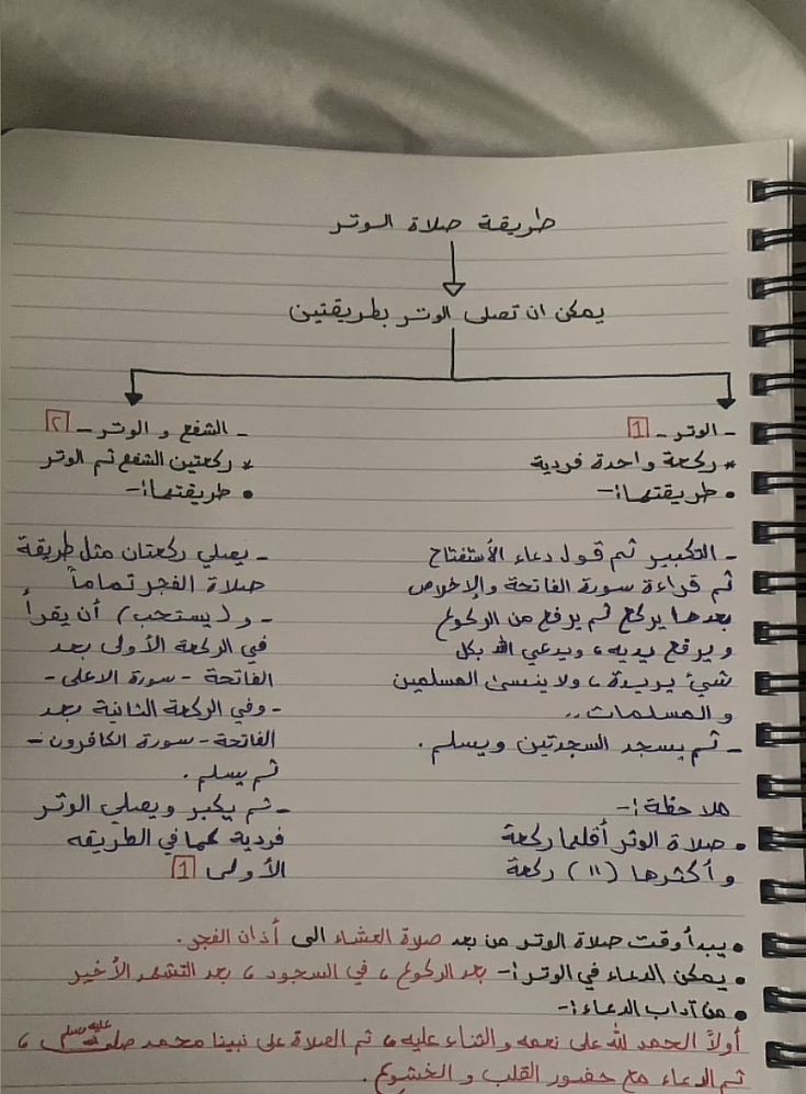 _ishamsa_'s tweet photo. طريقة صلاه الوتر 💖: https://t.co/29vuM1D1sD