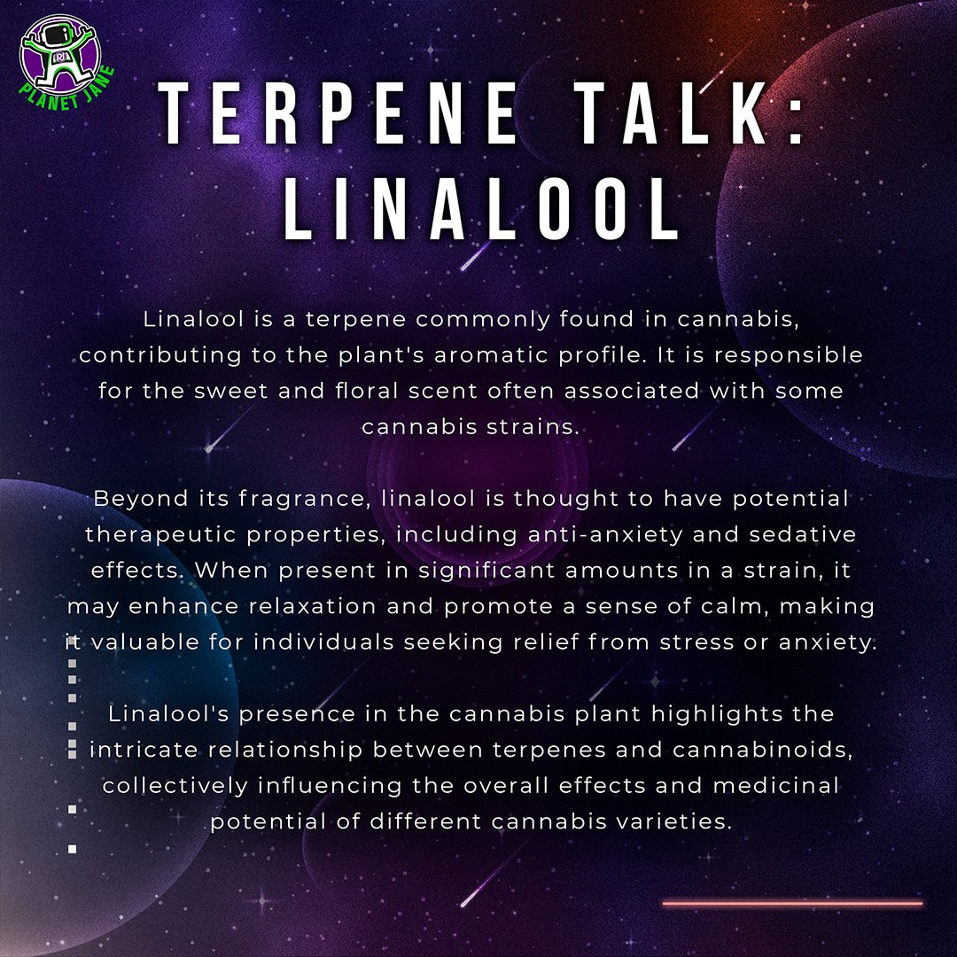 PlanetJane_'s tweet image. 🌿🌟 Discover Linalool: The Calming Terpene. Found in cannabis and lavender, Linalool's soothing aroma offers potential relaxation benefits. Elevate your experience with nature's tranquility. 💜🌱 

#Linalool #CannabisTerpene #Relaxation #NaturalWellness #CannabisCommunity 🌺🔮