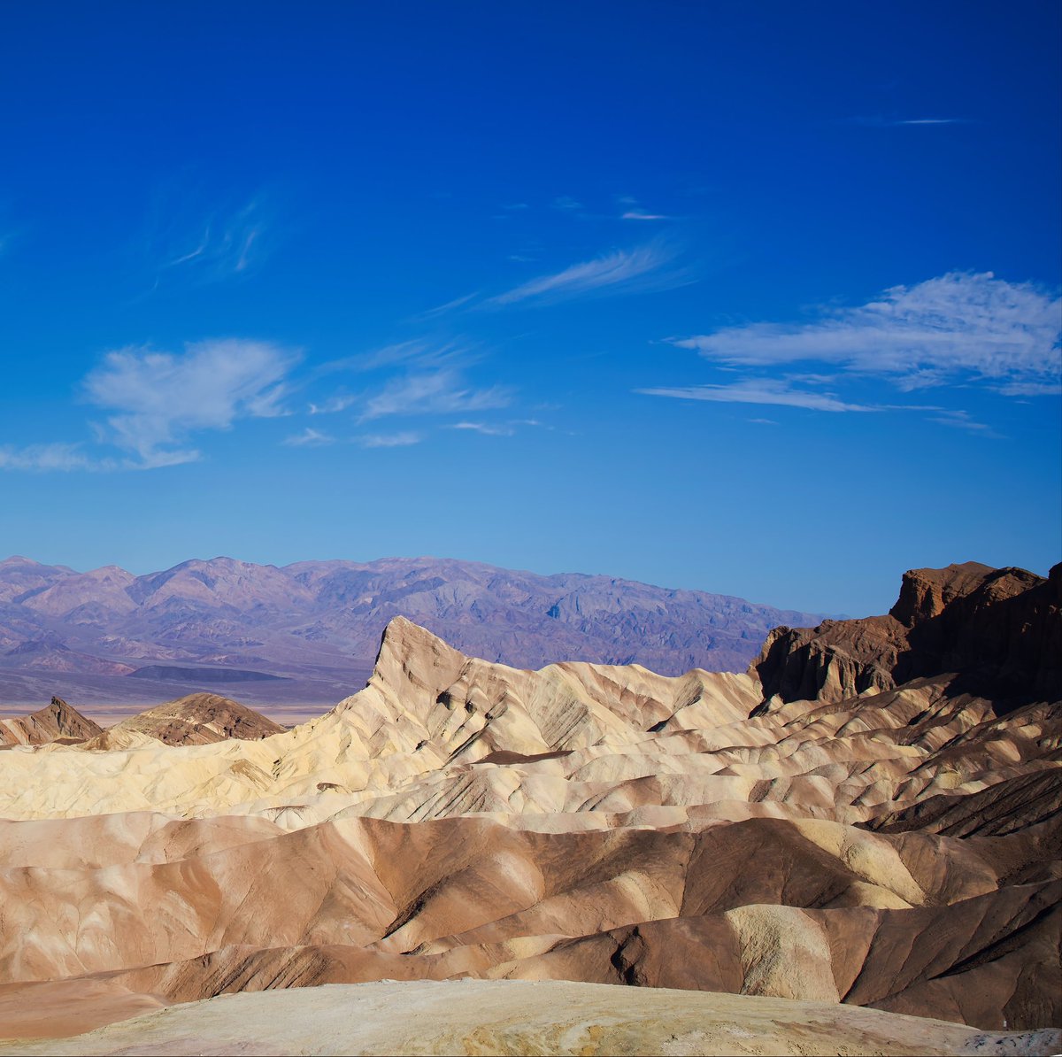 StumptownImages's tweet photo. The panoramic view of Zabriskie Point in Death Valley National Park. https://t.co/MaJhl4sVO2
