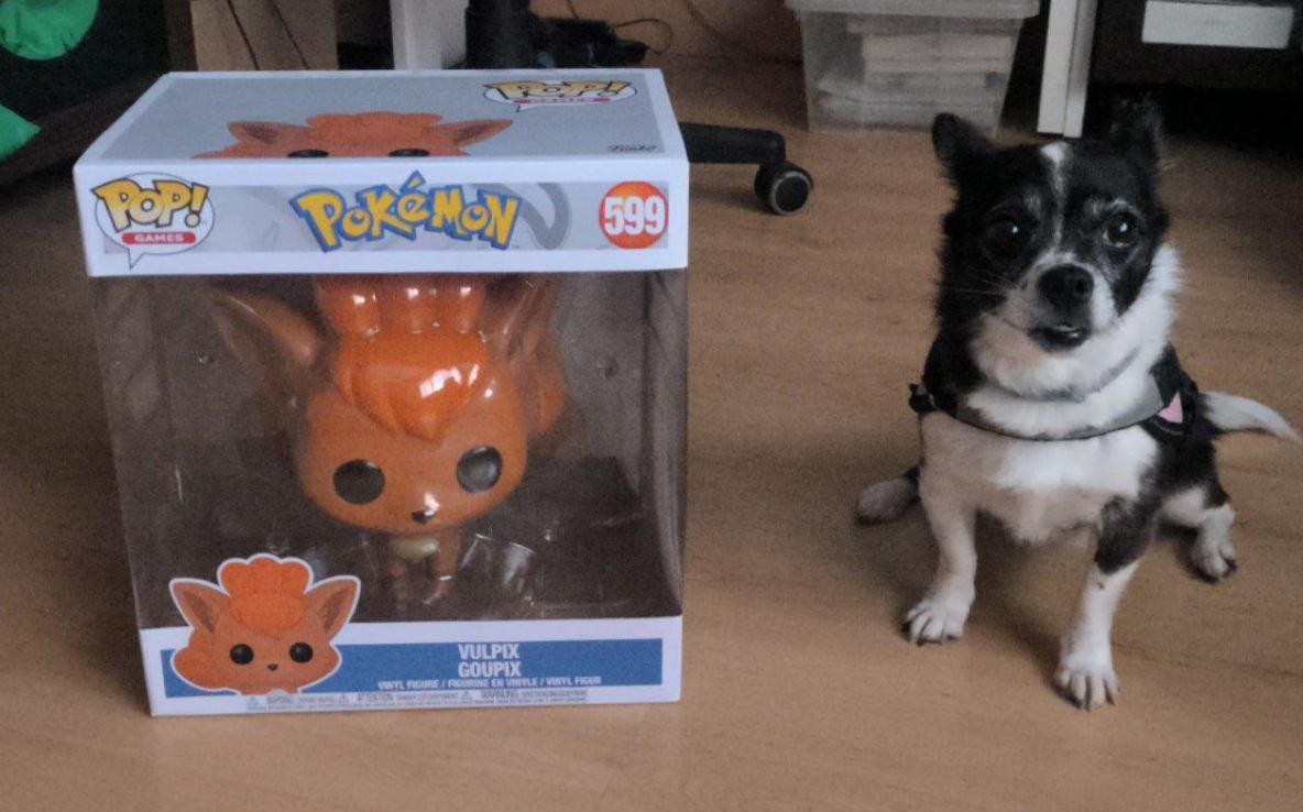 AbsurdWrynn's tweet photo. No me dejaron escoger mi regalo de cumpleaños, me tuve que ir con lo que mas abulta a casa 😭 https://t.co/G2RRB4UIcQ