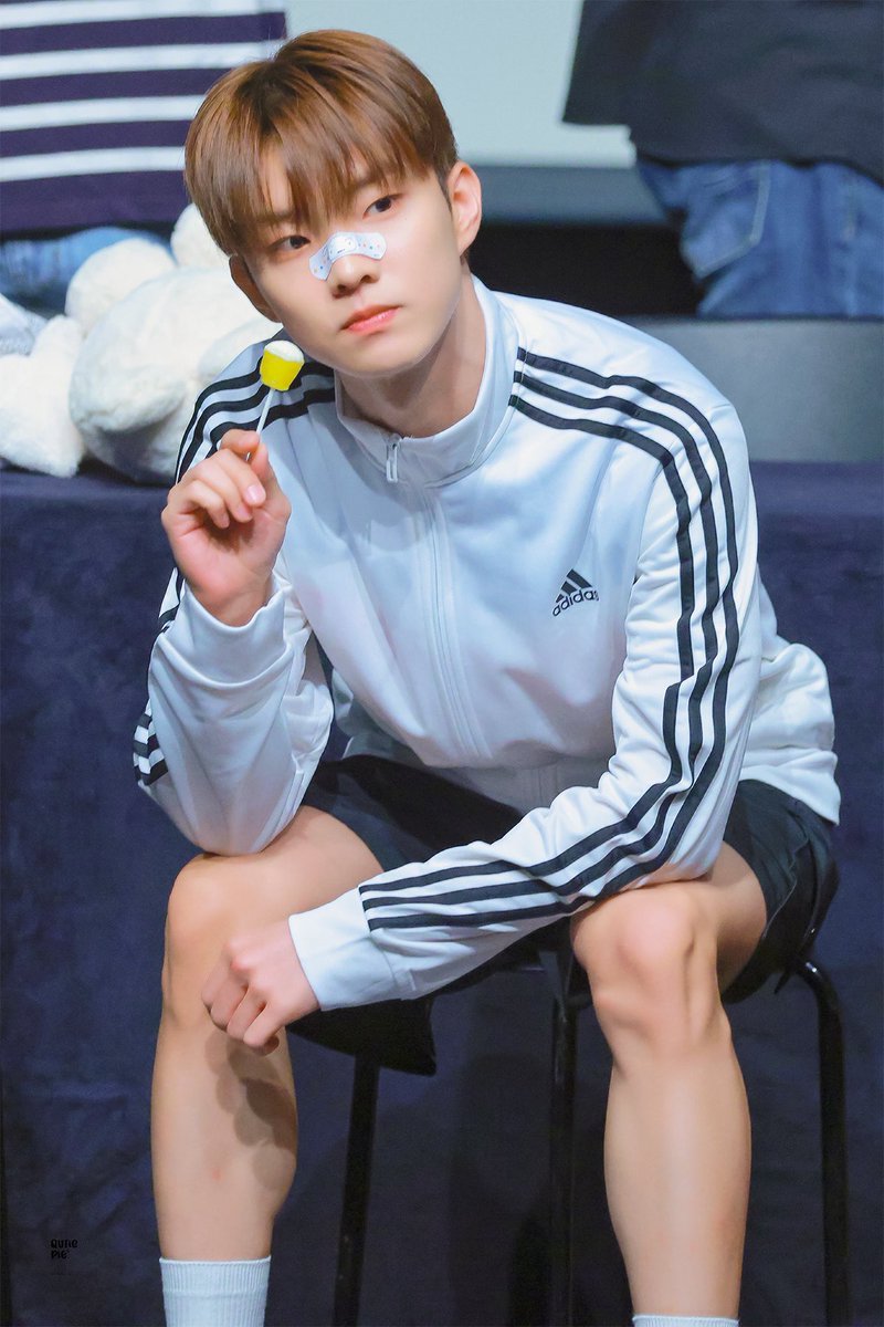 Qutie Pie tweet media