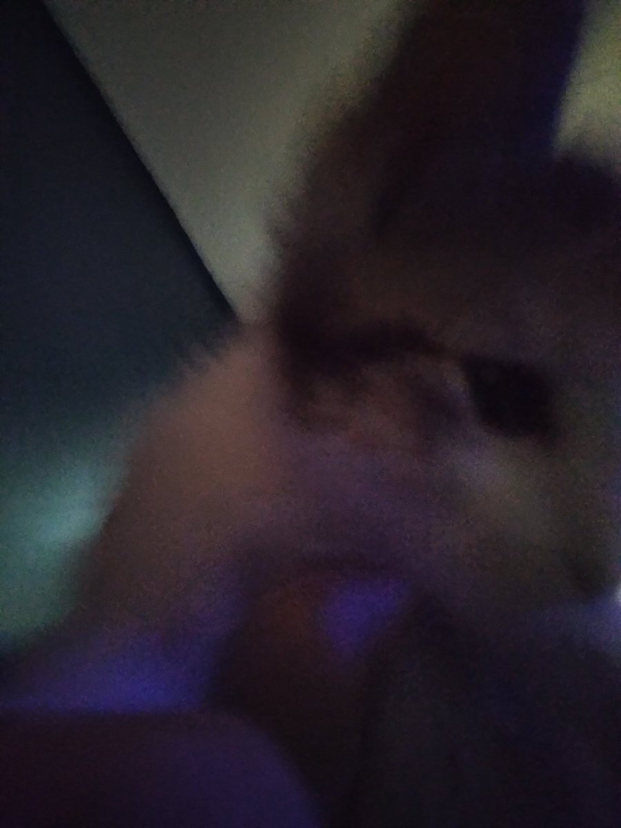 BraydenZimerman's tweet photo. #PartyAnimalsSweepstakes https://t.co/hgRGThH156