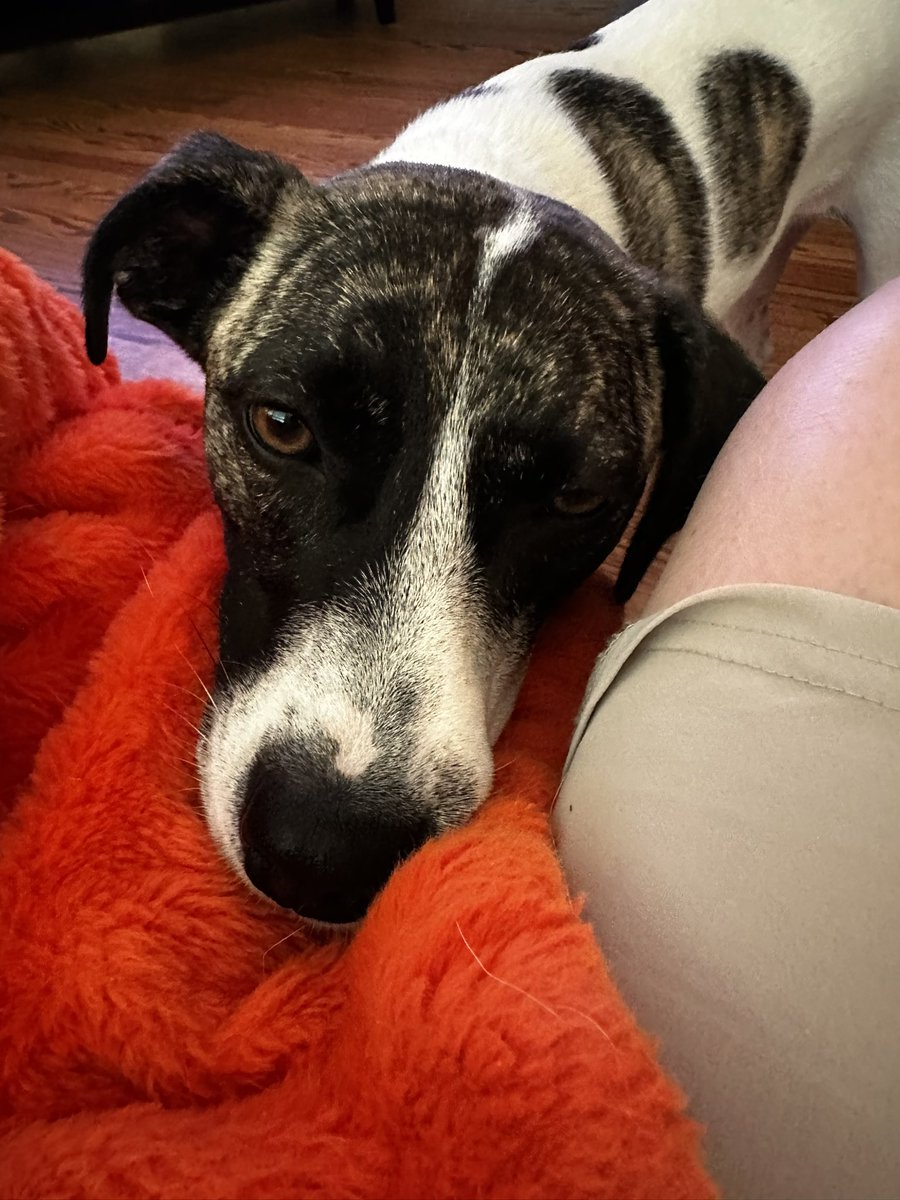 Michael Whitley tweet media