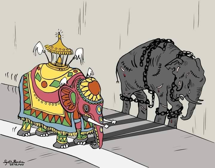 4Pachyderms's tweet photo. #SriLanka 
#PeraheraWithoutElephants https://t.co/ESXIenCDC1