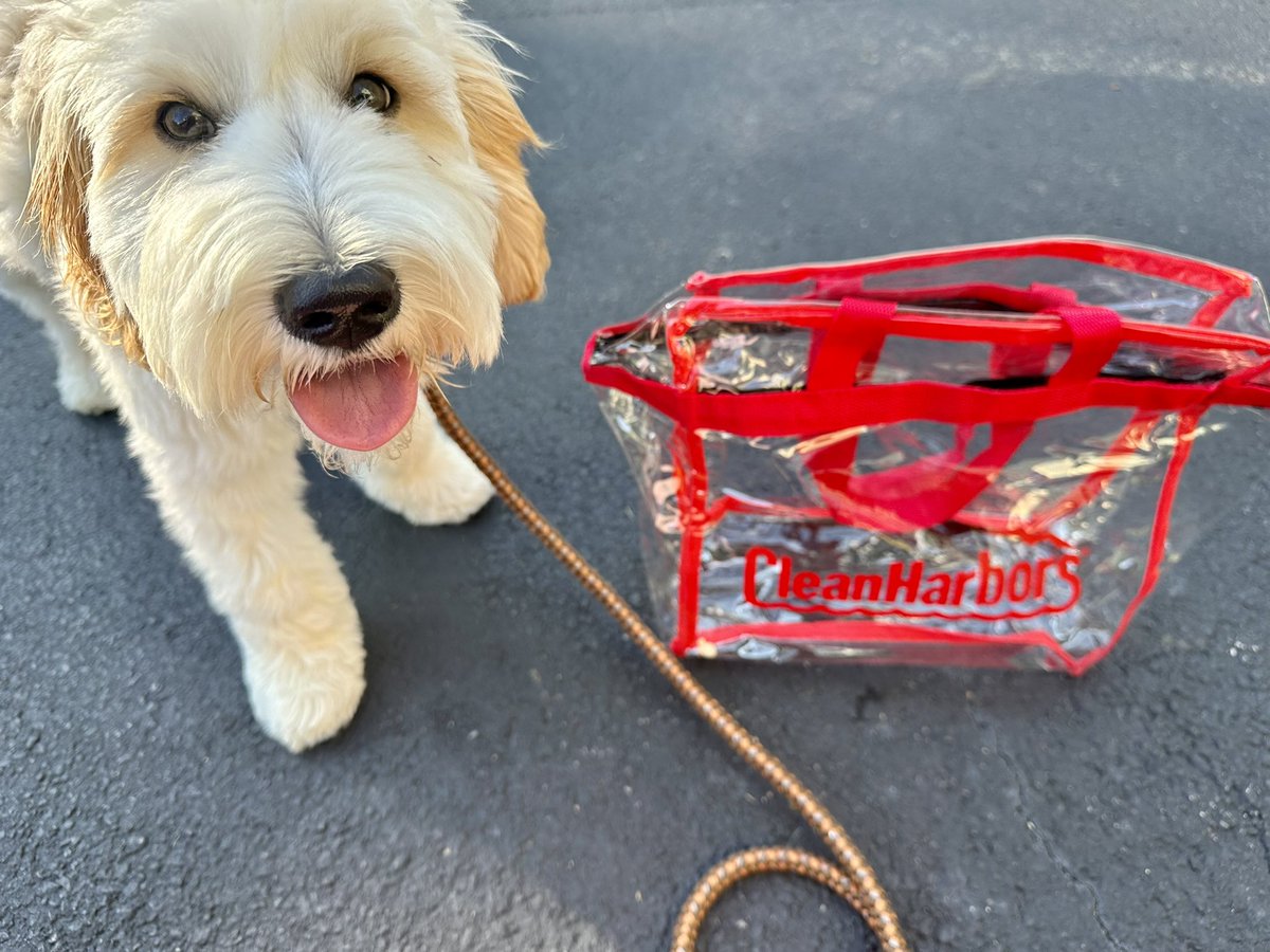 CleanHarbors's tweet image. Bark twice if you're in Milwaukee!

Happy #InternationalDogDay from @MKEmileNASCAR!

#CleanHarbors175