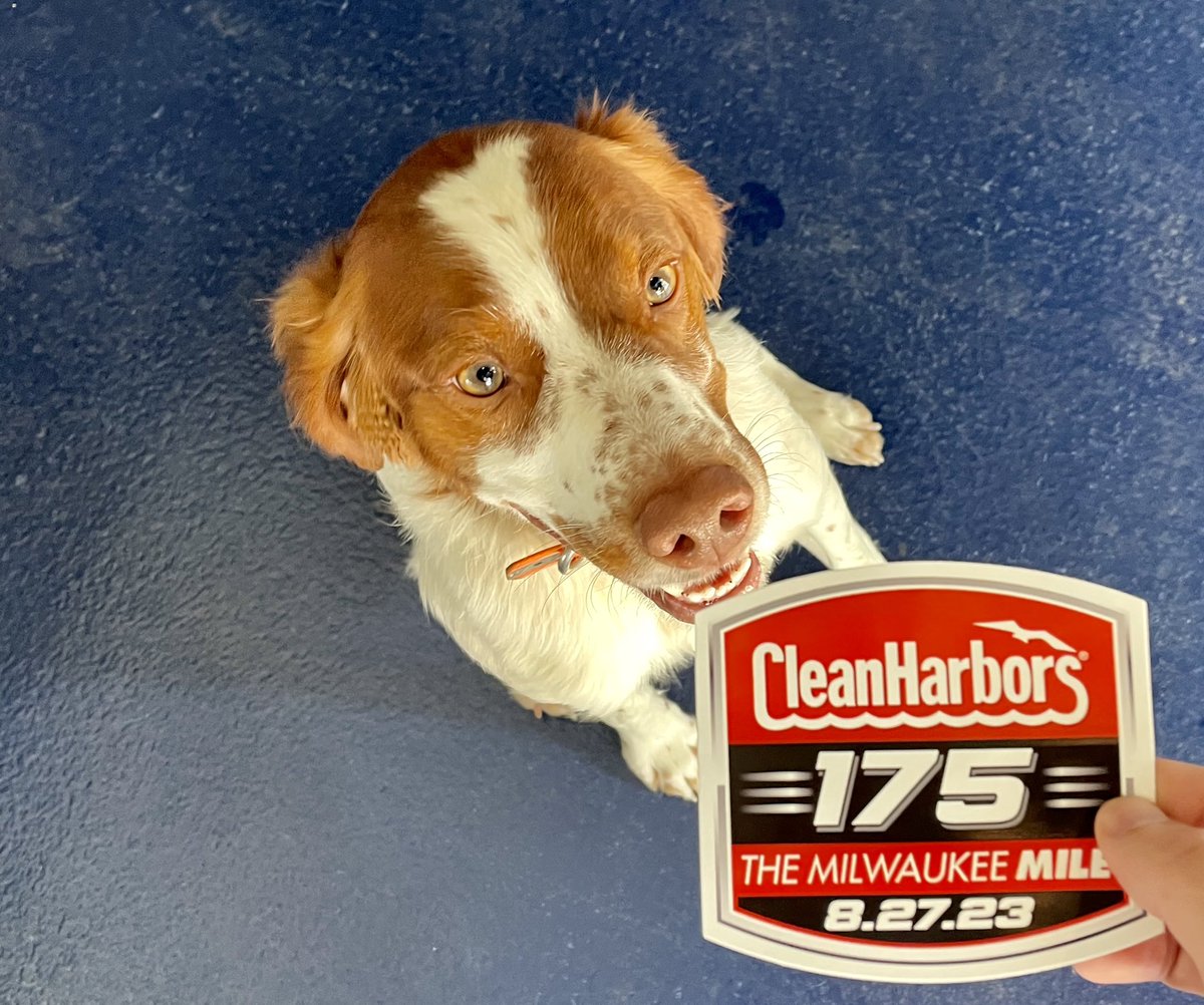 CleanHarbors's tweet image. Bark twice if you're in Milwaukee!

Happy #InternationalDogDay from @MKEmileNASCAR!

#CleanHarbors175
