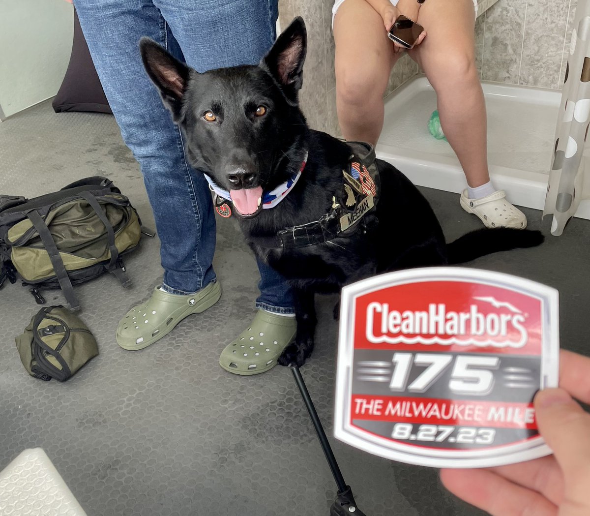 CleanHarbors's tweet image. Bark twice if you're in Milwaukee!

Happy #InternationalDogDay from @MKEmileNASCAR!

#CleanHarbors175