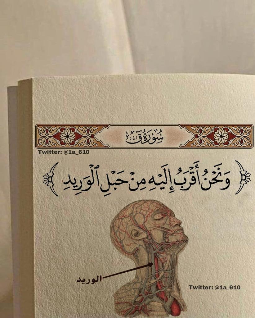 1A_610's tweet photo. يتولاك اللّٰه بينما تَظن أنك بِمفردك فأبشر واكتب يارب.. https://t.co/L0XsWATtsx