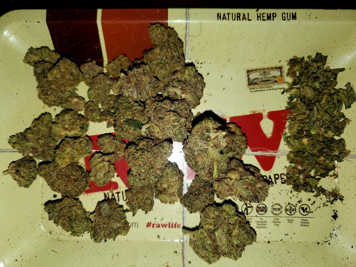 HooversProduct's tweet photo. Can't be scared to blow in nobody hotel. Fucc these mf'ers. It's ya spot for the time being to damm well what tf you please as long as you ain't hurting nobody it should be all good if you ask me🤷🏾‍♂️ https://t.co/JHIYaddnO9