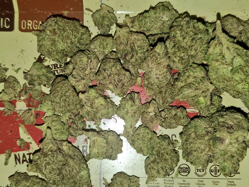 HooversProduct's tweet photo. Can't be scared to blow in nobody hotel. Fucc these mf'ers. It's ya spot for the time being to damm well what tf you please as long as you ain't hurting nobody it should be all good if you ask me🤷🏾‍♂️ https://t.co/JHIYaddnO9