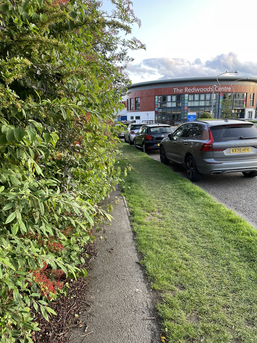 benprophet's tweet photo. @ShrewsburyTC @ShropCouncil  Hi, can you find a footpath under this for pedestrians? Somerby Drive, Shrewsbury. https://t.co/YrRgH3zMKu