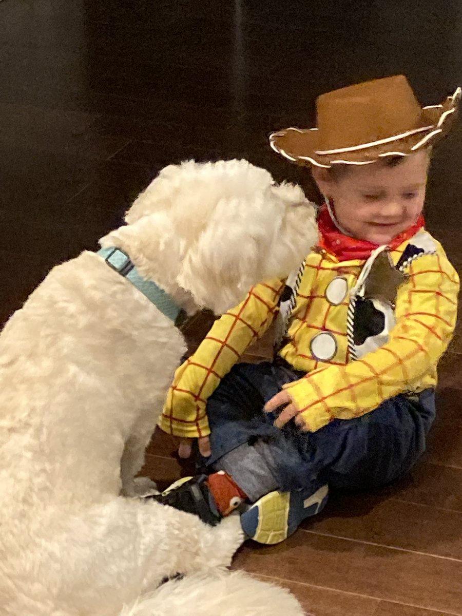 Chadaull's tweet photo. Happy International Dog Day to our beloved Kennedy. ๐ ๐ค
Then and now photos with the kids.
Don't forget that extra treat today! ๐พ
#internationaldogday #happydogshappylife #extraloveday #pawsonheart #foreverlovedโค๏ธ https://t.co/7Fw58c1XDv