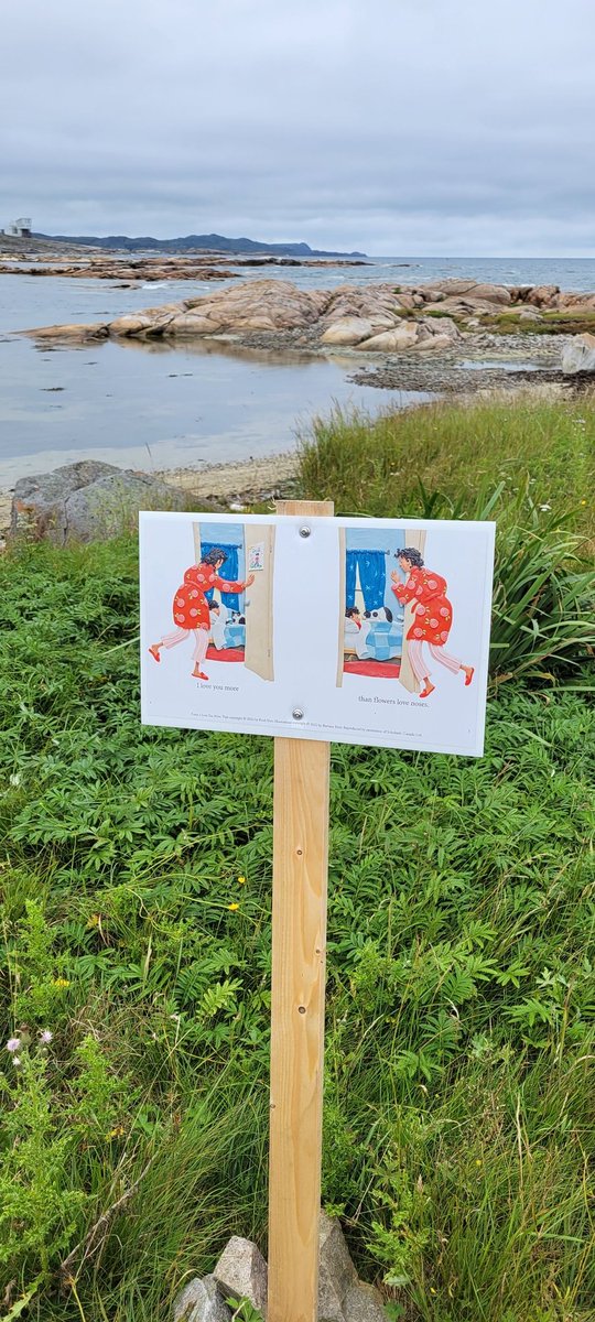 bce2cobb's tweet photo. #iloveyoumore was available to read along this beautiful walking trail. It made my heart happy 🥰 #emilsher @FogoIslandTown https://t.co/x9lUoKIjIv