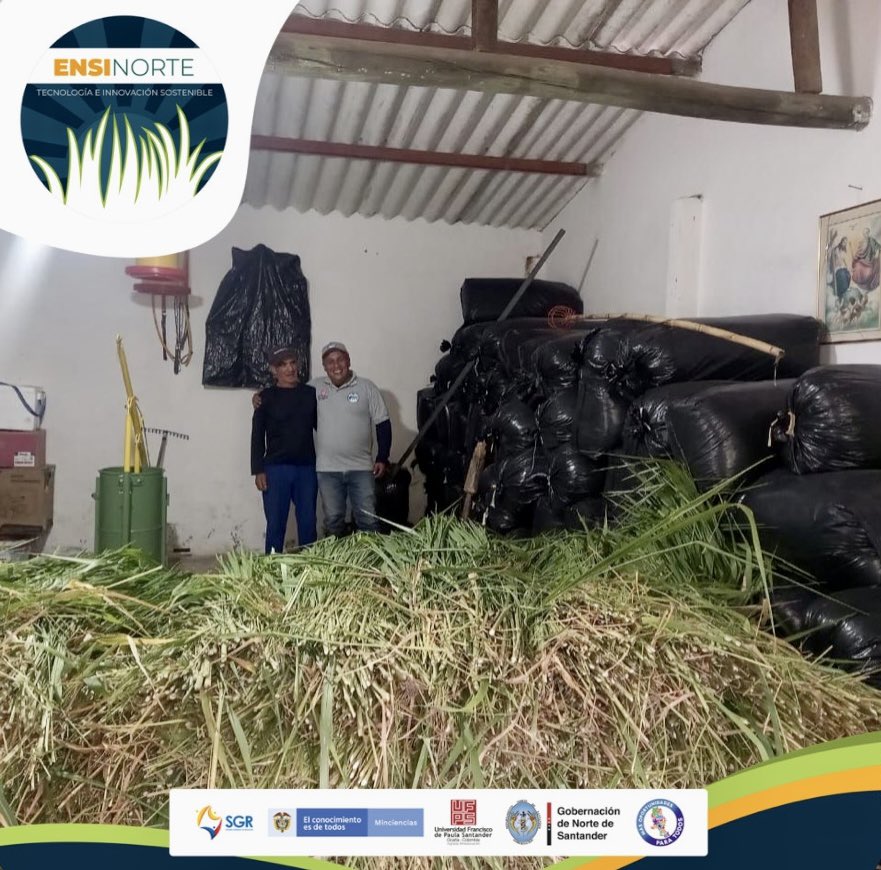 ensinorte's tweet photo. Acompañamiento técnico en el municipio de Villa Caro 
Beneficiario Juan de francisco Vereda la Ramada 🍃

#ensinortetecnologíaeinnovación #ensilaje #ganaderia #forrajes #agricultura #alimentación #ganado #sostenibilidad #alimentaciónanimal #productividadagropecuaria #cultivos https://t.co/L6vKZm28wZ