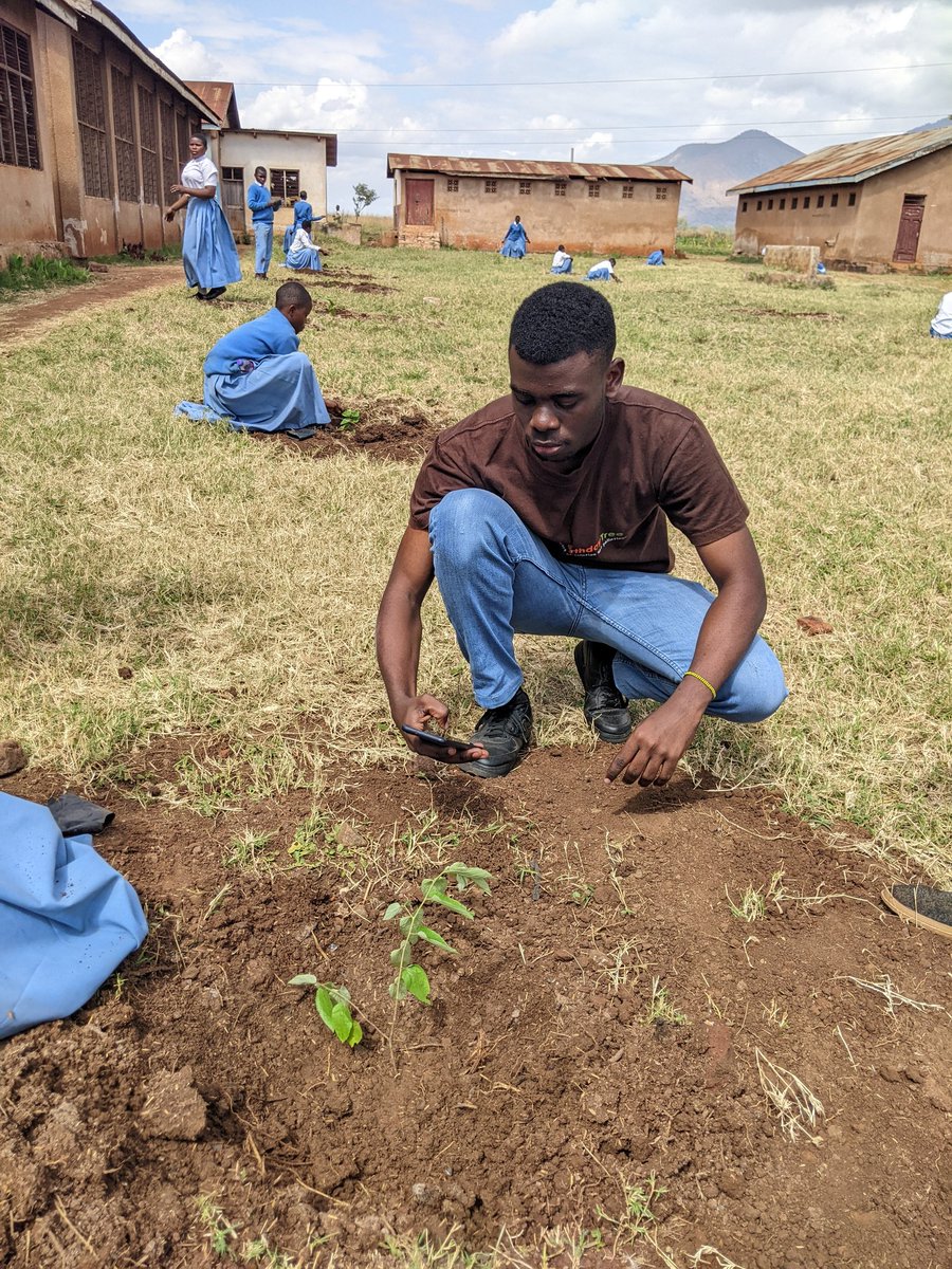 Mybirthdaytree2's tweet photo. Along with afforestation project we incorporated Geospatial technology through tree mapping after planting. In partnership with @geotetanzania ,we conducted tree mapping using kobocollect app to enhance monitoring of our afforestation project
#MBTO
#bepartofsolutionnotpollution https://t.co/dhJ6yvA3T0