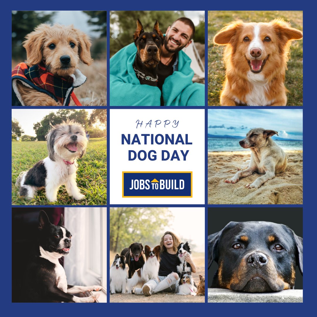 🐾🏡 Happy National Dog Day, from <a href="/JobsToBuild/">JobsToBuild</a>! 🏡🐾 
Calling all dog lovers! 📸 Share pictures of your adorable fur-babies! Tag <a href="/JobsToBuild/">JobsToBuild</a> and use #NationalDogDay to share the love.
