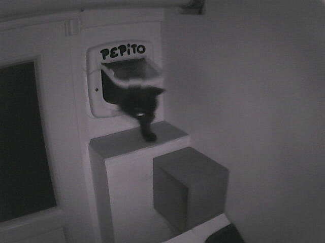 Pépito is back home (23:34:45)