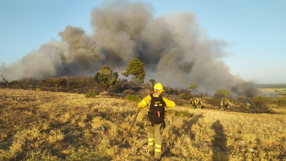 AT_Brif's tweet photo. 🔴PARTE DE INTERVENCIÓN 26/08/23➡️4 #BRIF de @mitecogob han intervenido en 4 #IIFF
🔥#IFArafoCandelaria TF
🧑🚒@BrifPuntagorda
🔥#IFSantaMariaDelTietar AV
🧑🚒@brifpuertopico
🧑🚒@brif_iglesuela
🔥#IFJaraizDeLaVera CC
🧑🚒@BRIF_PINO
🧑🚒@BRIF_PINO RD
🧑🚒@brif_iglesuela RD
(1/2)⬇️ https://t.co/MbSTyeCFMe