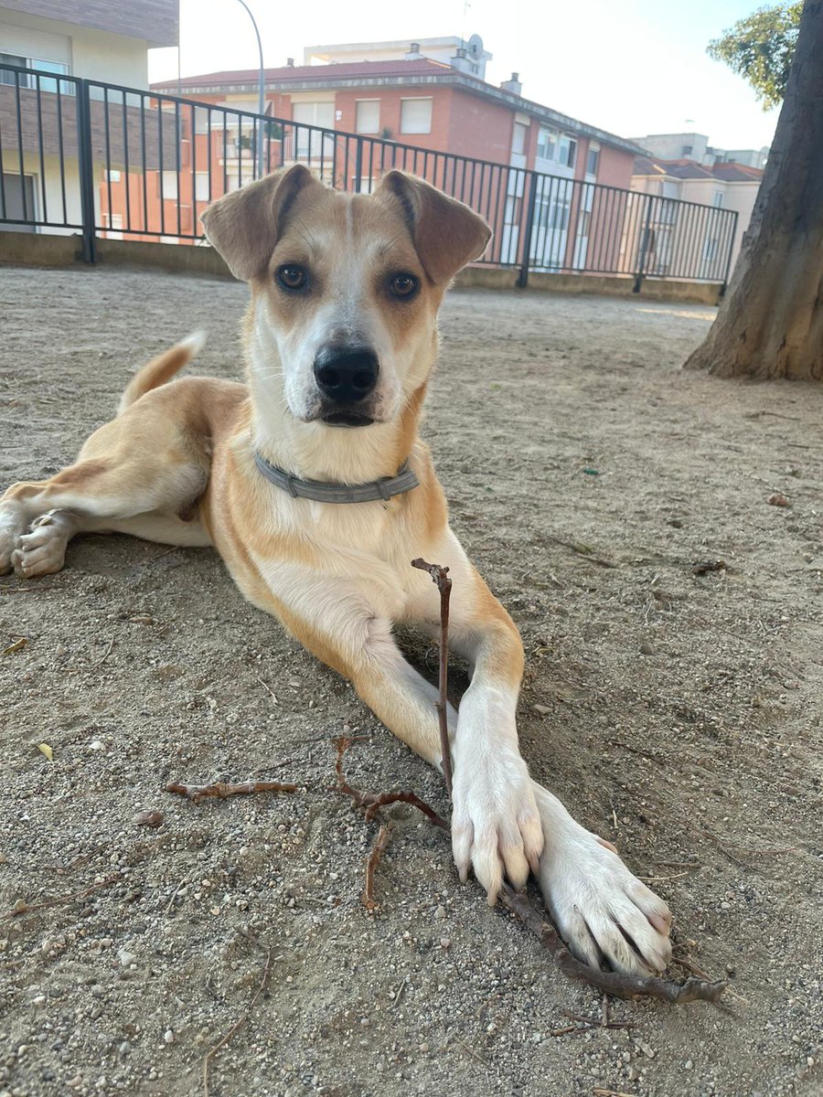 Borders Sin Fronteras tweet media