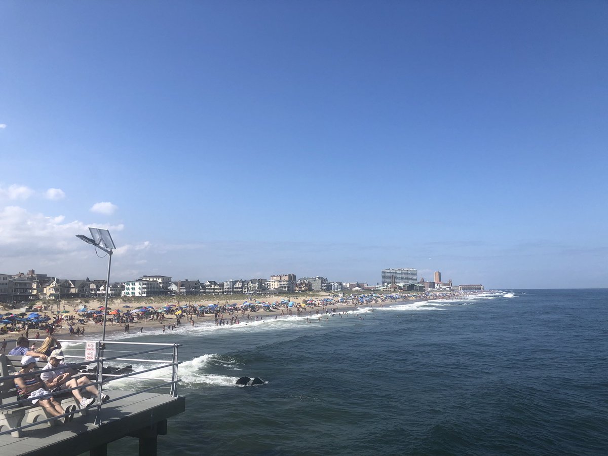 ZenAi Contact Support (@zenai_support) on Twitter photo 