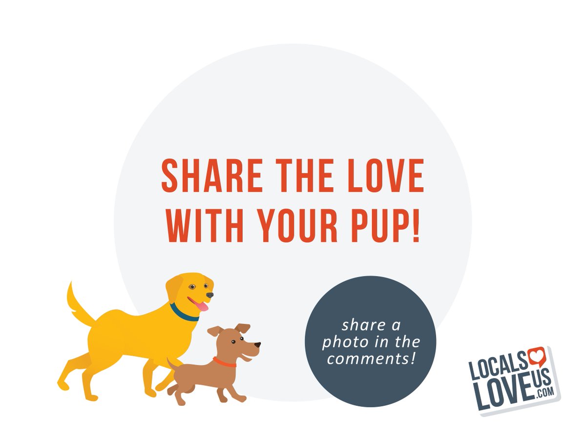 Let's celebrate our beloved furry family members with the best! Visit localsloveus.com &amp; browse the winners in our Pets category 🐾 

#localsloveus #sharethelove #locals #local #supportlocal #localbusiness #thelocalbest #nationaldogday #dogmom #dogdad