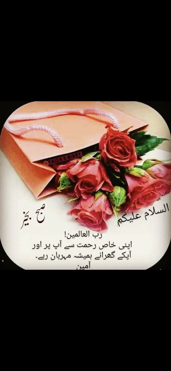 Sheeno tweet media
