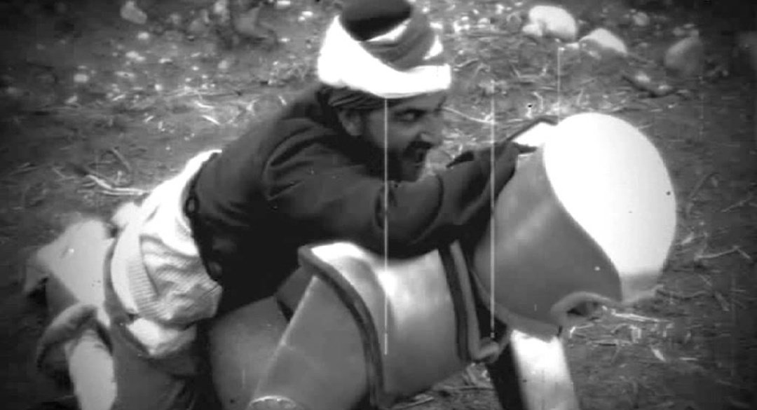 Senin ataların bizi dize getiremedi sen kimsin eyy sophia