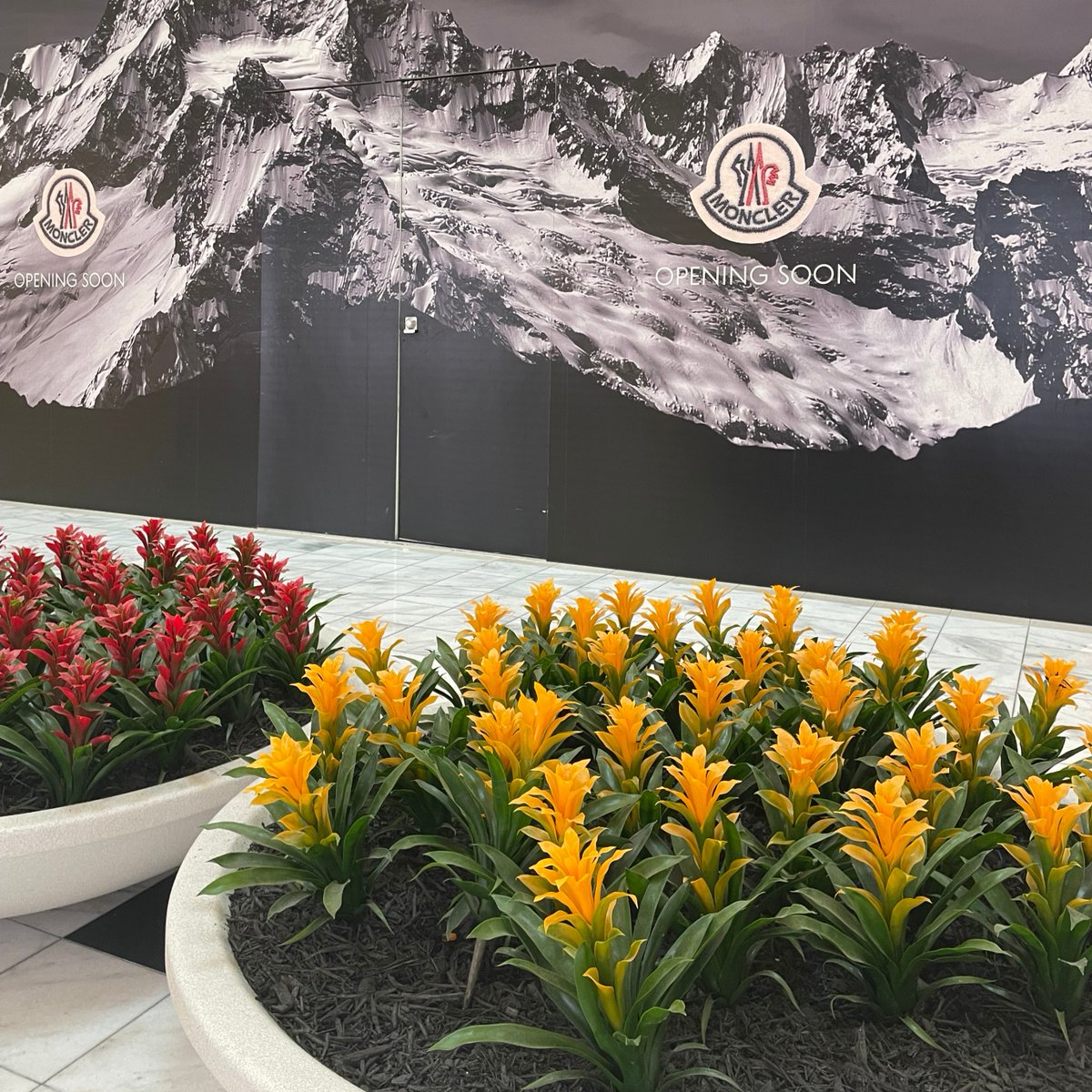 We are excited to welcome <a href="/Moncler/">Moncler</a> to Lenox Square in 2024! ⛰️