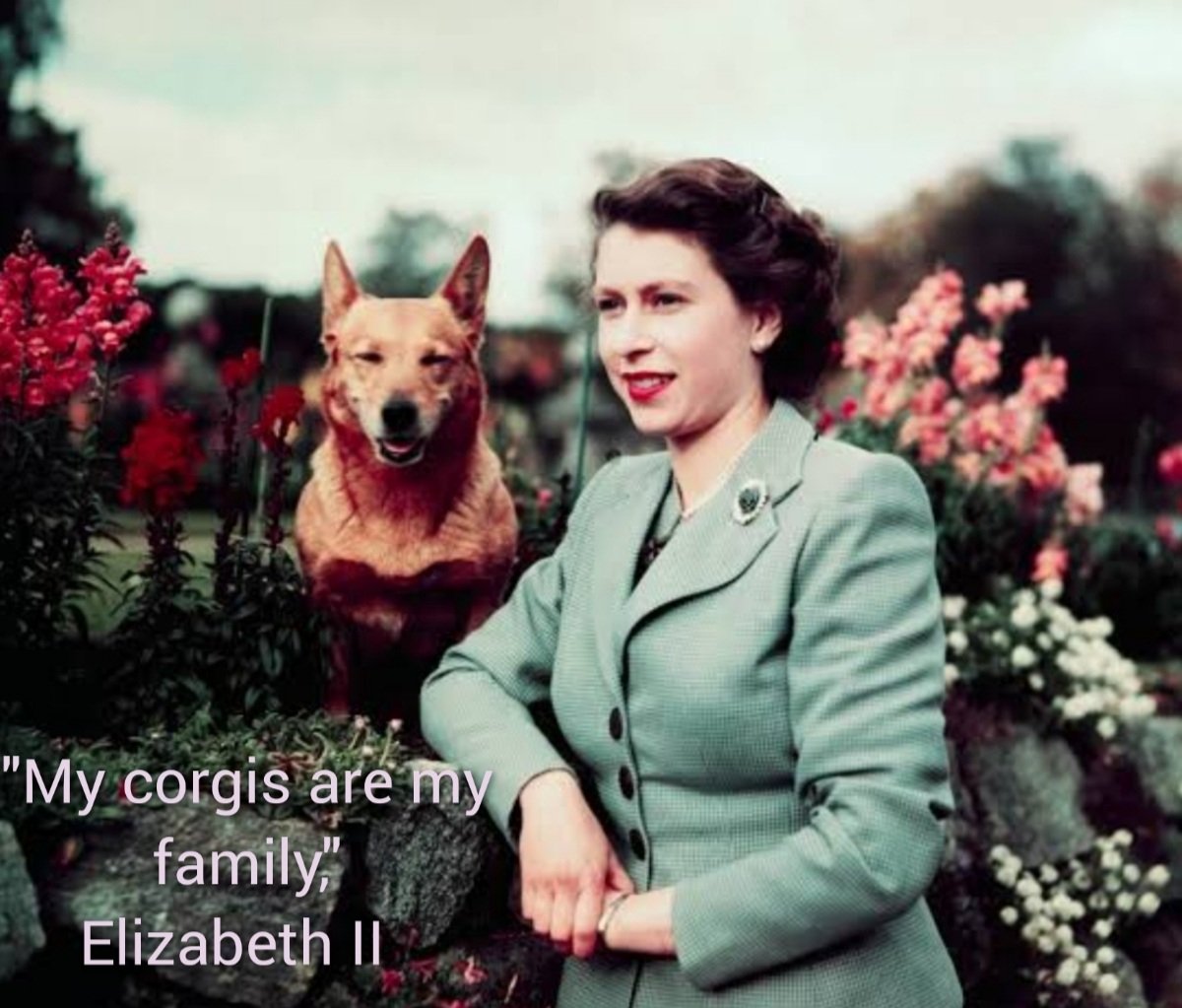 Queen Elizabeth II ❤❤ Words of Wisdom❤Our late Queen once again had it right🐕🐈‍⬛Our pets are Family❤
#QueenElizabethII #InternationalDogDay #Monarchy #Wisdom #ForTheLoveofDogs ❤ #ForTheLoveofCats 🐈‍⬛💕 #Jo_March62